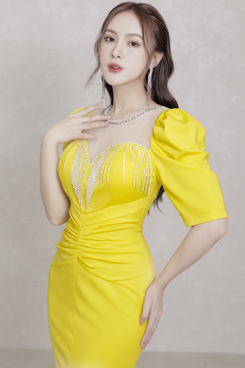 Đầm dạ hội tay phồng kết tua rua cao cấp - D1048